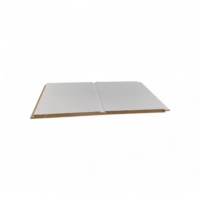 Sisäpaneeli 10x175x2080 STP MDF mel, Puhdasvalkoinen päätypontattu